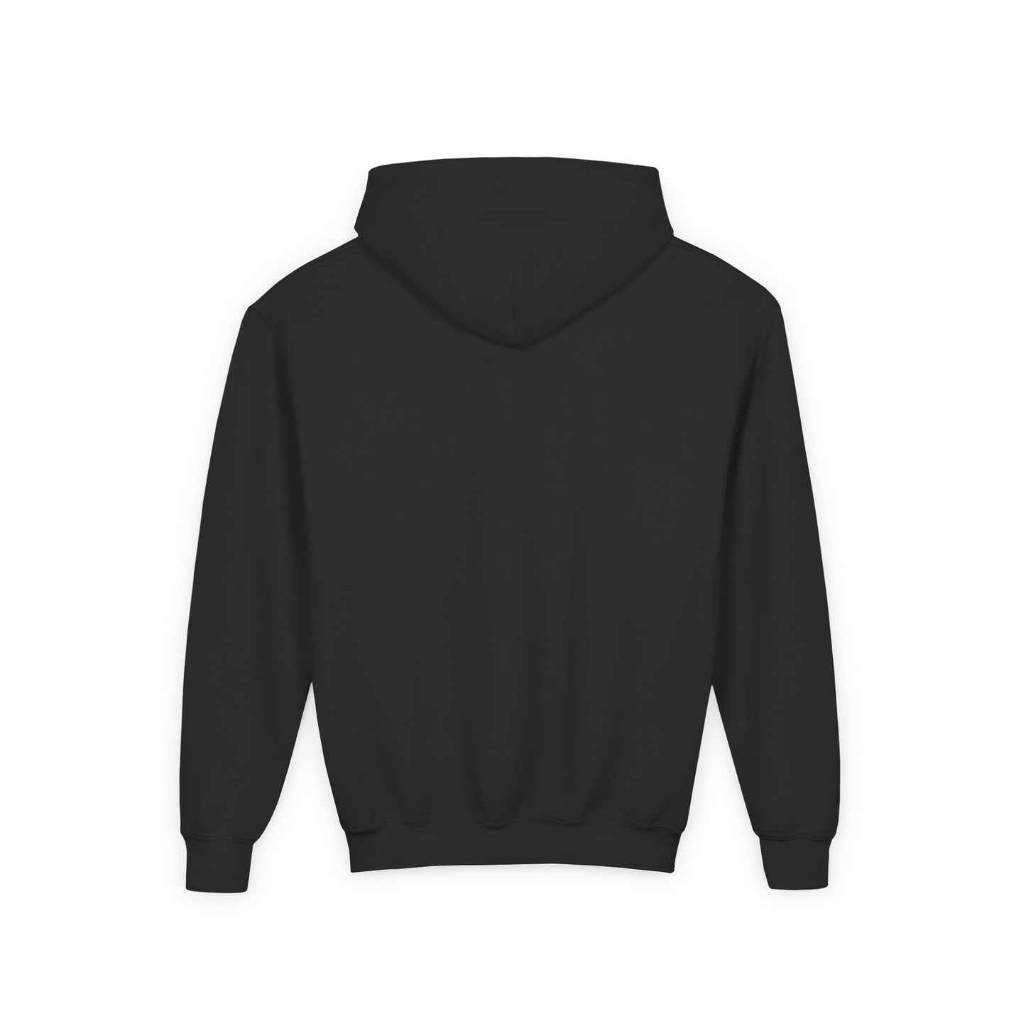 Back view of black youth hoodie with bold GOLD LION