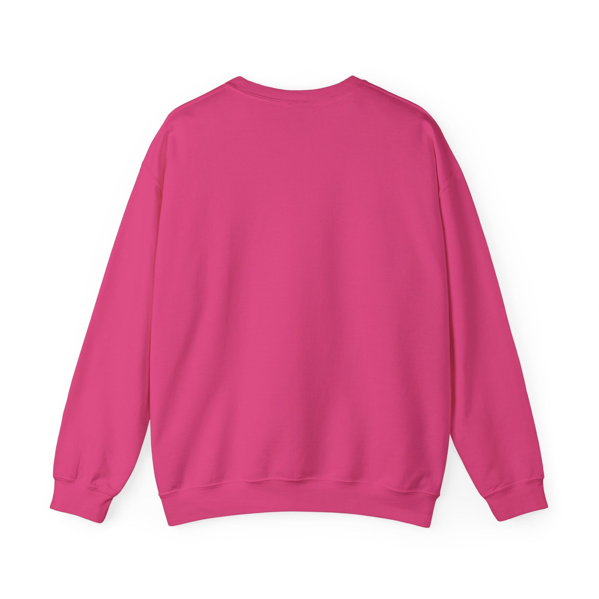 Ethical Christian sweatshirt with bold message – back view of pink