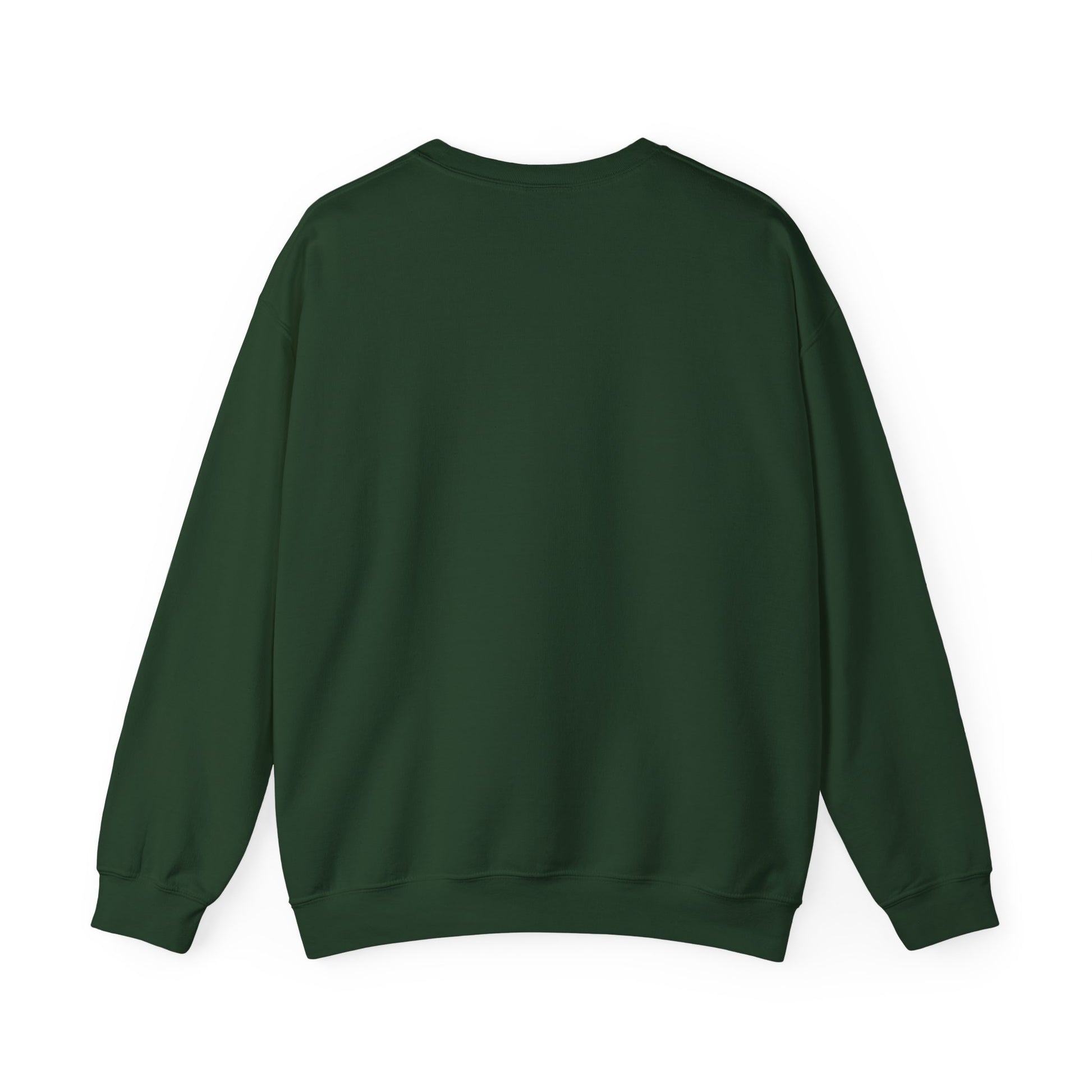 Ethical Christian sweatshirt with bold message – back view of army